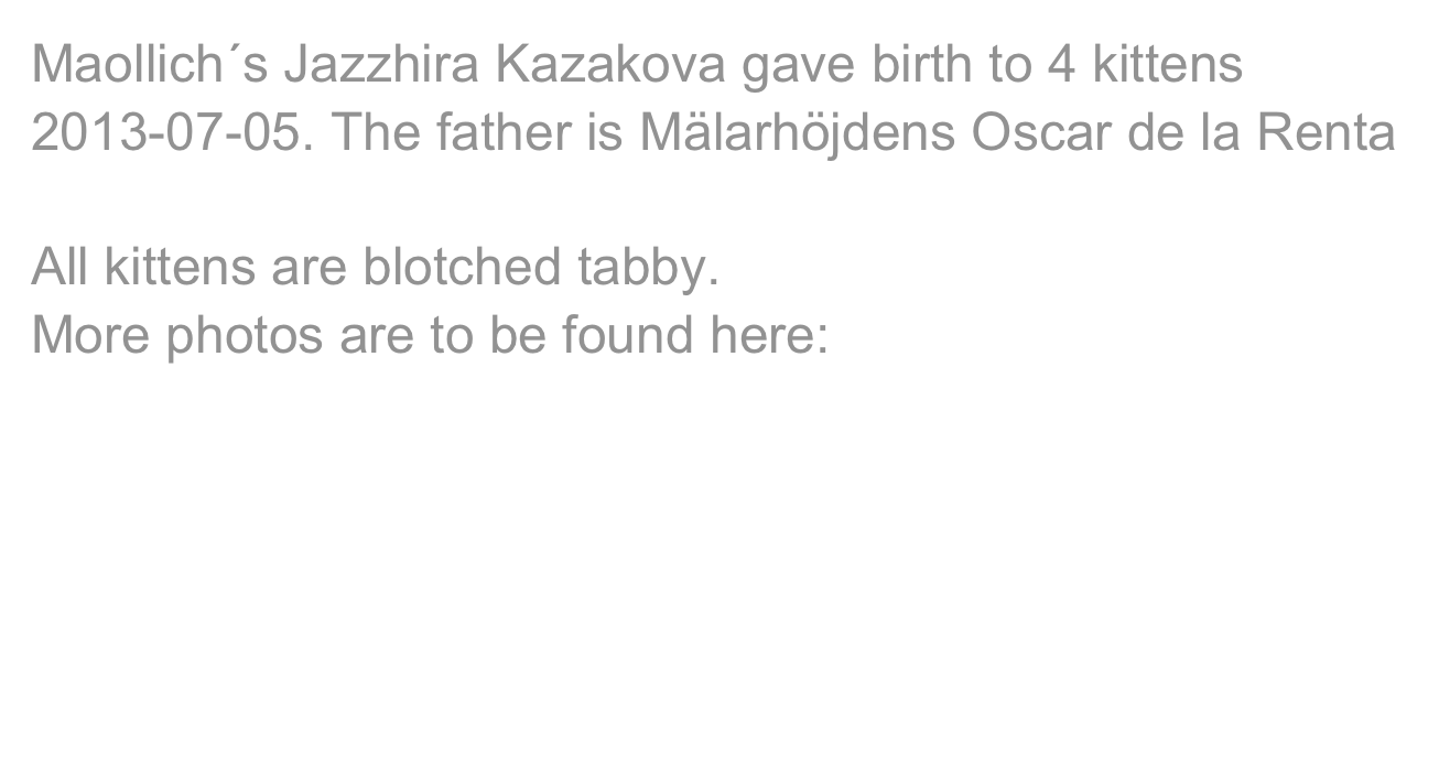 Maollich´s Jazzhira Kazakova gave birth to 4 kittens 2013-07-05. The father is Mälarhöjdens Oscar de la Renta

All kittens are blotched tabby.
More photos are to be found here:
https://www.icloud.com/photostream/#A5532ODWZgRQi




